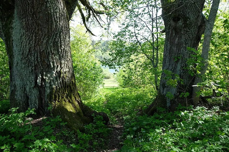 Затуленье (усадьба)