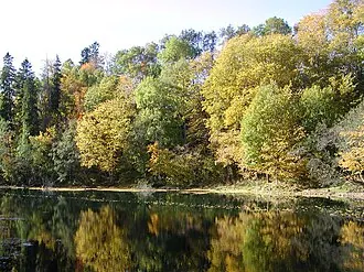 Лопухинка (усадьба) — фото 4