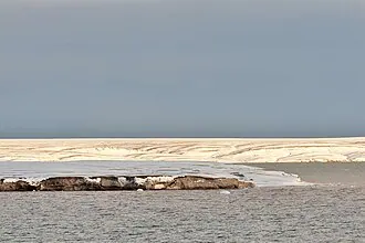 Ледник Академии Наук — фото 4