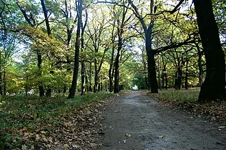 Кременские леса