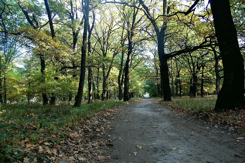 Кременские леса