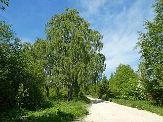 Волковицы (усадьба) — фото 2