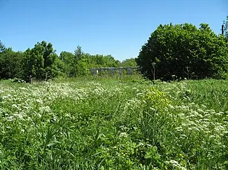 Лапина (усадьба) — фото 2