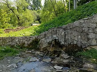 Часовня Боголюбской иконы Божией Матери (Таруса) — фото 2