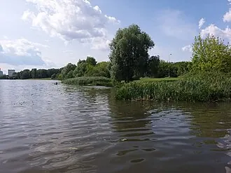 Парк имени Шкулёва — фото 4