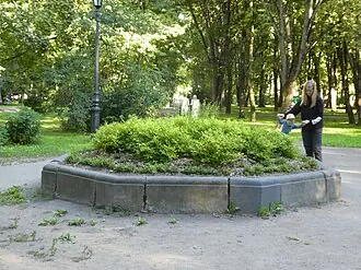 Девушка Иматры