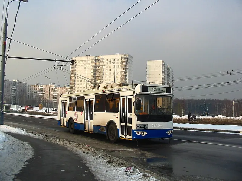 Ясеневское кладбище