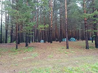Усть-Мензинский археологический комплекс — фото 2