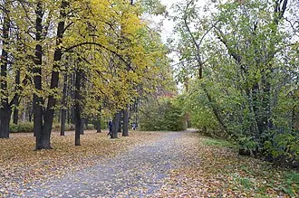 Ямка (парк) — фото 4