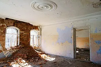 Литизно (усадьба) — фото 3