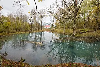 Велькота (усадьба) — фото 2