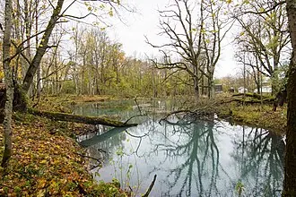 Велькота (усадьба) — фото 4