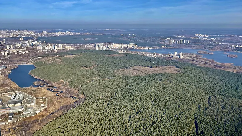 Уктусский лесопарк