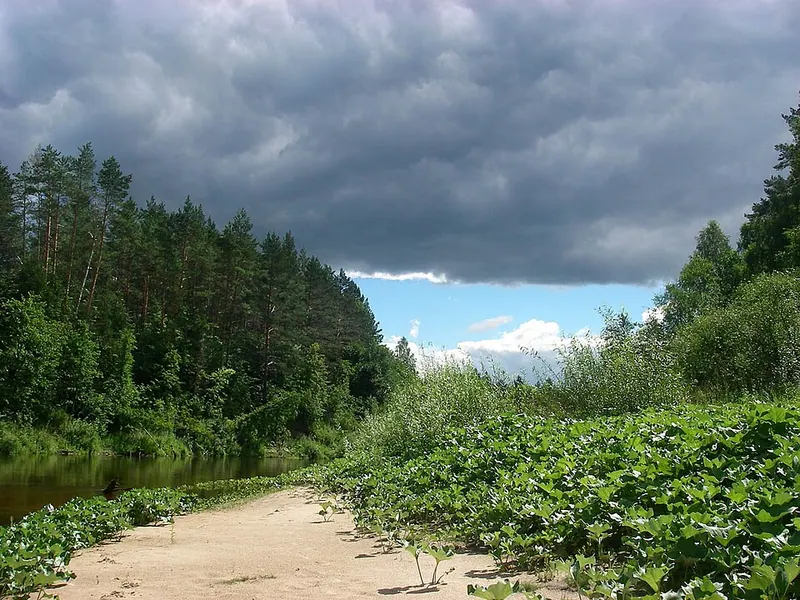 Большая Кокшага (заповедник)