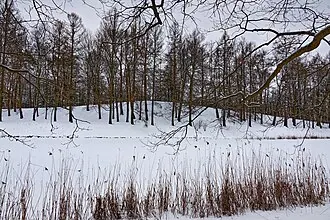Трифонова горка — фото 3