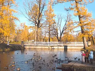 Большой каскад у Александровского дворца — фото 2