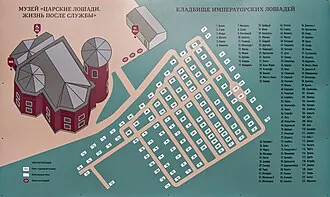 Пенсионерские конюшни — фото 4