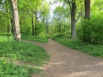 Румболовский парк