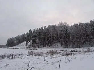 Белая (крепость)