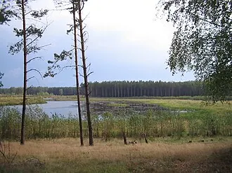 Тумботинский заказник
