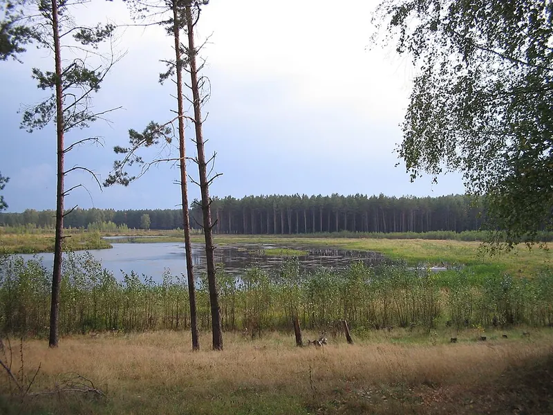 Тумботинский заказник