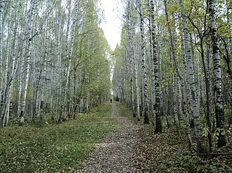 Шувакишский лесопарк