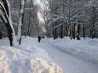 Сквер Академика Лихачёва