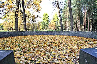 Беседка на Розовом поле — фото 3