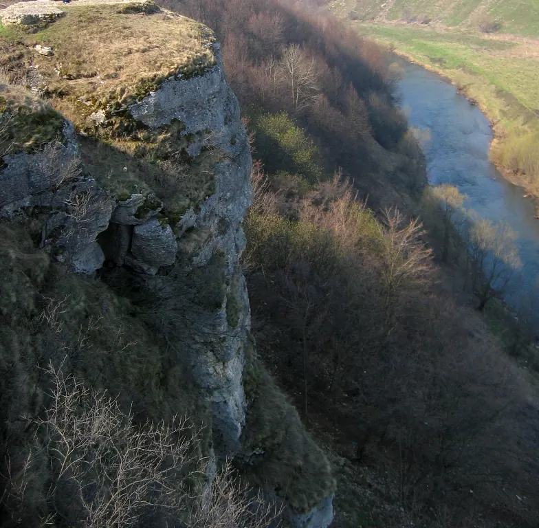 Галичья Гора (заповедник)