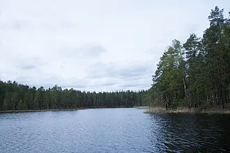 Комсомольское (озеро, Нижегородская область)