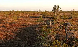 Рдейский заповедник