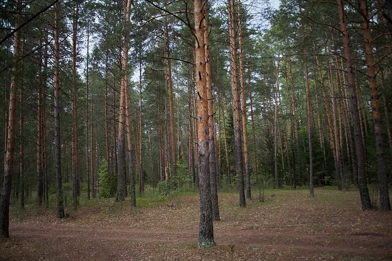 Мухтоловский заказник