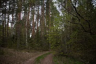 Личадеевский заказник