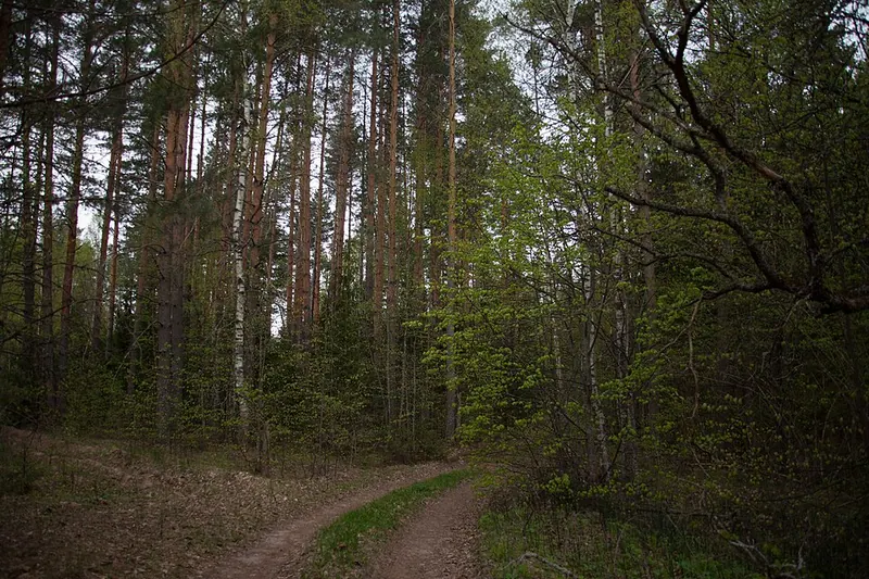 Личадеевский заказник