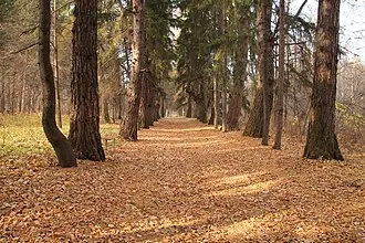 Акшуатский дендропарк — фото 2