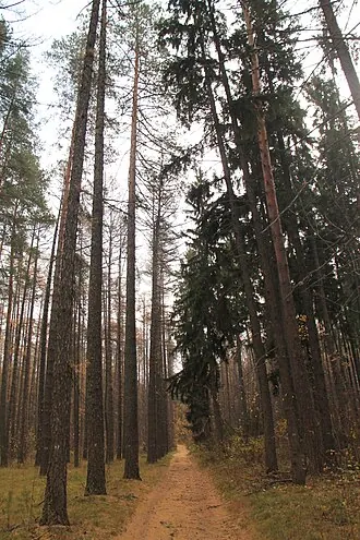 Акшуатский дендропарк — фото 3