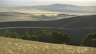 Оренбургский заповедник