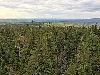 Висимский заповедник