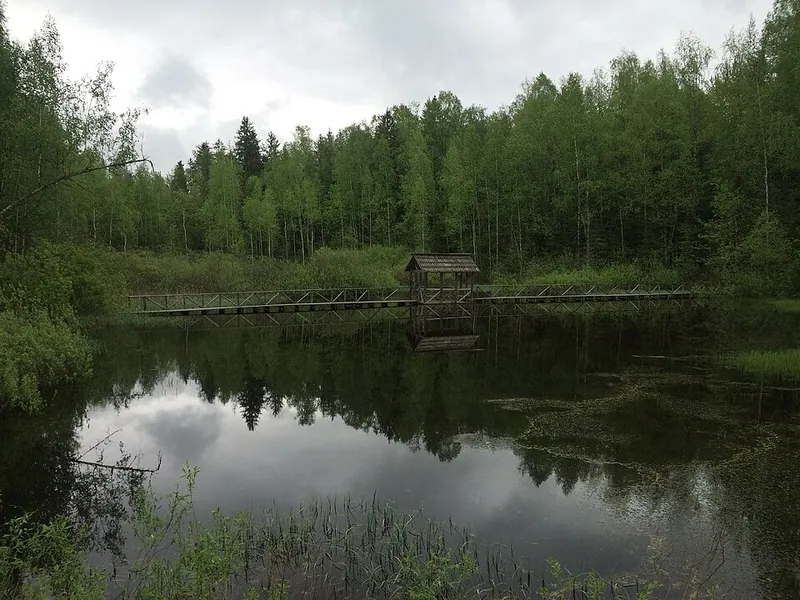 Центрально-Лесной заповедник