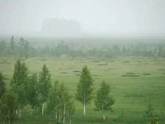 Полистовский заповедник