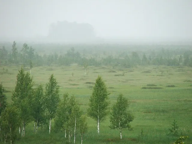 Полистовский заповедник