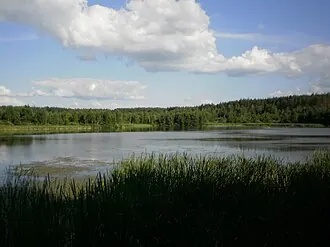 Клюквенное озеро