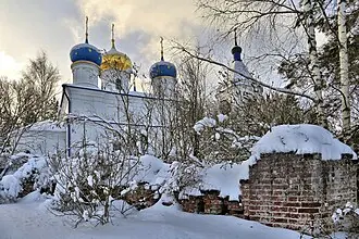 Церковь Владимирской иконы Божией Матери (Тучково) — фото 2