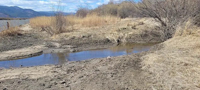 Нижняя Берёзовка (стоянка)