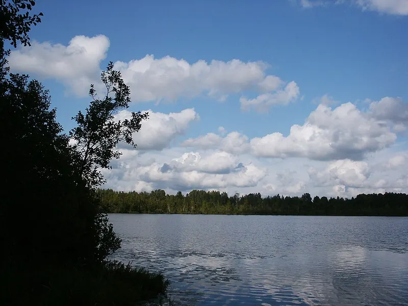 Светлояр