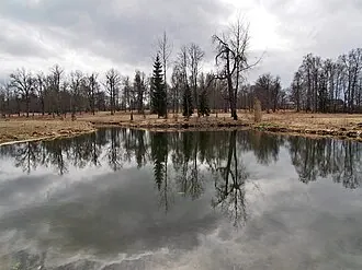 Вохоново (усадьба) — фото 3