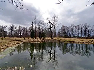 Вохоново (усадьба) — фото 4