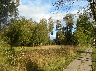 Батово (усадьба) — фото 4