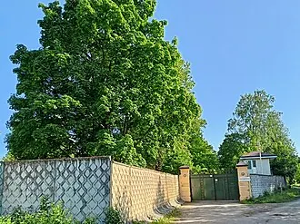 Церковь Владимирской иконы Божией Матери (Дылицы) — фото 4