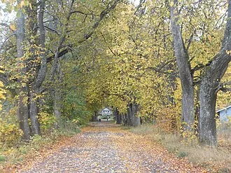 Дружноселье (усадьба)